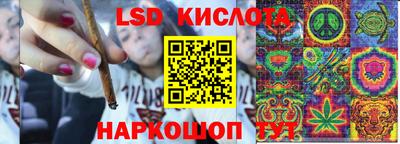 крисы Дмитров