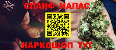 крисы Дмитров