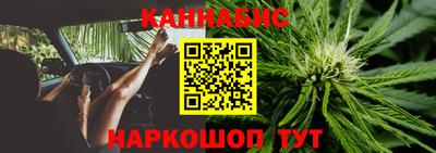 крисы Дмитров