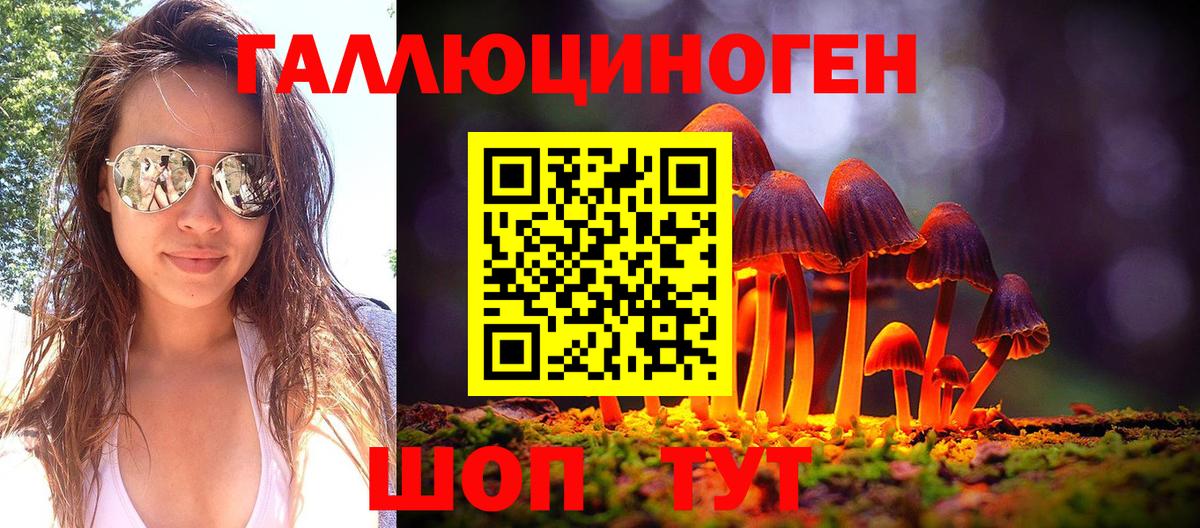 закладка  Вход с VPN  Нижневартовск  Псилоцибиновые грибы Psilocybine cubensis 